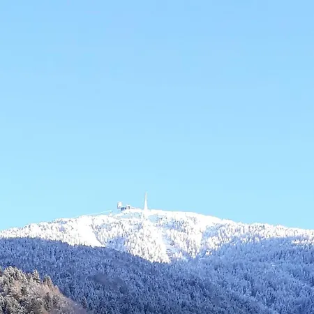 Lägenhet Zangerl - Kobelerhof *