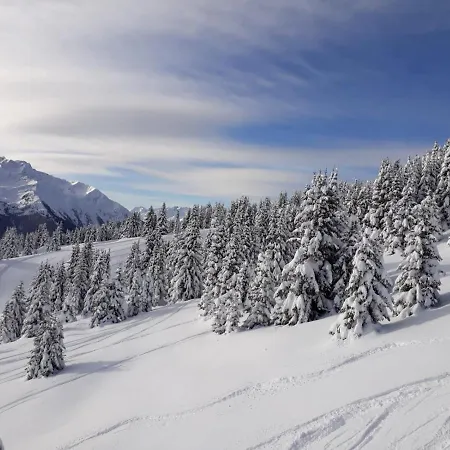 Zangerl - Kobelerhof