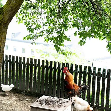 Διαμέρισμα Zangerl - Kobelerhof Landeck