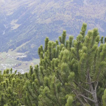 Zangerl - Kobelerhof Διαμέρισμα *